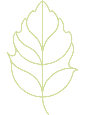 leaf.png